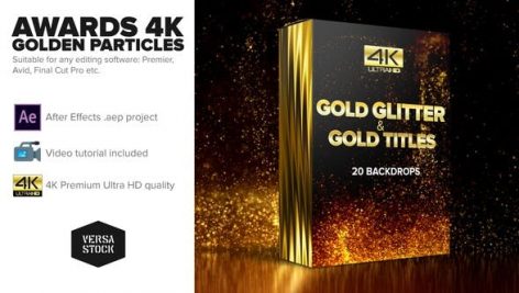 Preview Awards 4K Golden Glitter Particles Titles 24982436