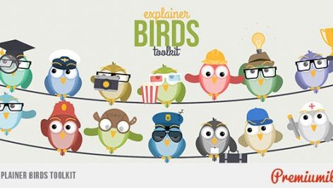 Preview Explainer Birds Toolkit 11365647