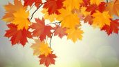 Freepik Autumn Leaves Background