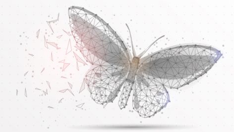 Freepik Butterfly Digitally Drawn Low Poly Triangle Wire Frame