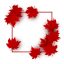 Freepik Canada Day Background Of Red Maple Leaves