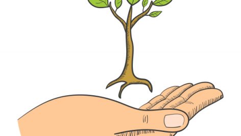 Freepik Hand With Young Tree Symbol