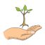 Freepik Hand With Young Tree Symbol