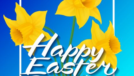 Freepik Happy Easter Sunday Lettering With Three Daffodils In Frame On Blue Background