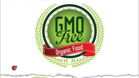 Freepik Organic Food Banners Collection