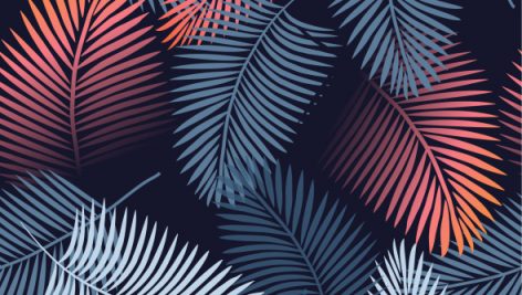 Freepik Seamless Tropical Vector Pattern With Tropical