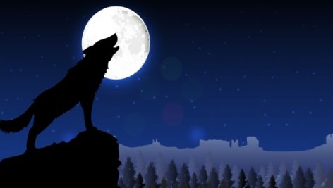 Freepik Silhouette Of Wolf Standing On Hill