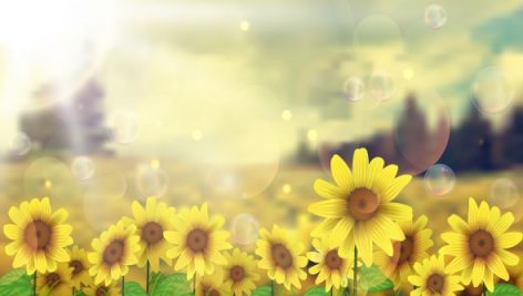 Freepik Sun Flowers Field