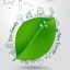 Freepik Vector Ecology Concept Drawing On Green Leaf