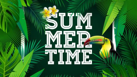 Freepik Vector Summer Time Holiday Typographic