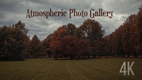 Preview Atmospheric Photo Gallery 4K 24853101