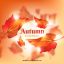 Freepik Autumn Background With Realistic Design