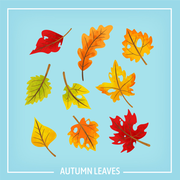 وکتور Freepik Autumn Leaves