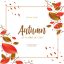 Freepik Autumn Sale With Branch And Leaf Background