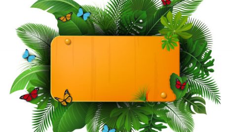 Freepik Gold Sign With Text Space Of Tropical Leaves And Butterflies