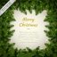Freepik Merry Christmas Background With Pine Frame