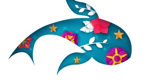 Freepik Paperfish Illustration