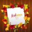 Freepik White Paper With Autumn Leaves On Wood Background