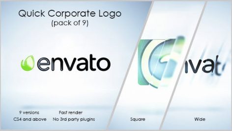 Preview Quick Corporate Logo 13421156