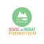 Preview Service Or Product Promotion Presentation 12107826