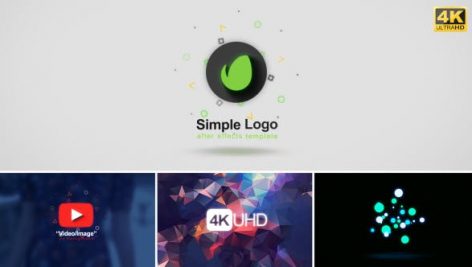 Preview Simple Logo Reveal 20503271