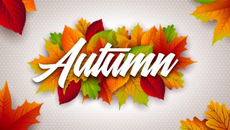 Freepik Autumn Illustration With Colorful Leaves And Lettering