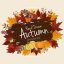 Freepik Autumnal Wreath Frame With Colorful Leaves On Background