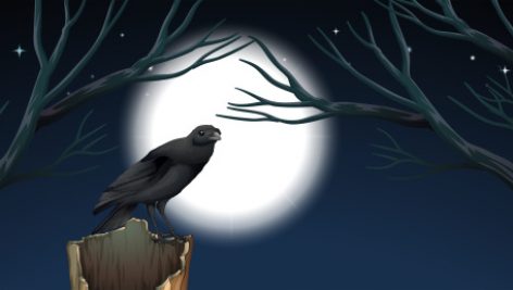 Freepik Bird In Night Scene