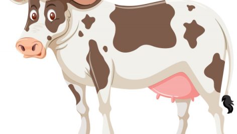 Freepik Cow On White Background