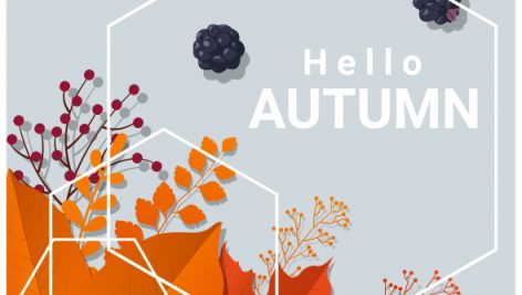 Freepik Hello Autumn With Colorful Leaves And Fruits Background