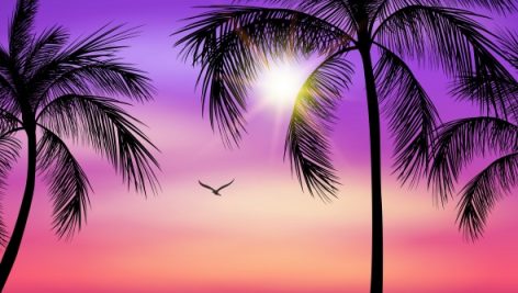 Freepik Palm Tree Silhouette