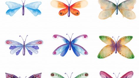 Freepik Watercolor Butterfly Collection