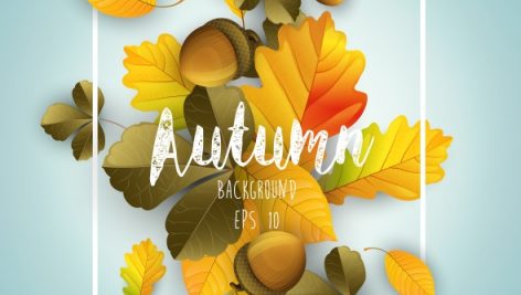 Freepik Autumn Background With Dried Leaves And Nuts