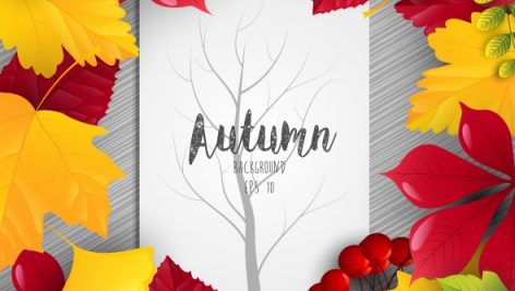 Freepik Autumn Leaves Frame With Tree Silhouette On Center Paper