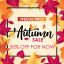 Freepik Autumn Sale Background Vector With Leaves