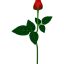 Freepik Beautiful Red Rose For Valentines Days Vector Illustration