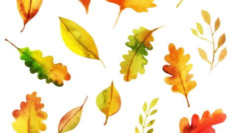 Freepik Beautiful Watercolor Autumn Leaves Collection