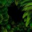 Freepik Exotic Pattern With Tropical Leaves On Dark Forest