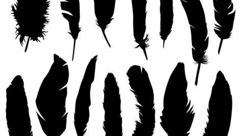 Freepik Feather Bird Animal Clip Art Silhouette Vector