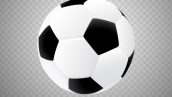 Freepik Isolated Vector Soccer Ball