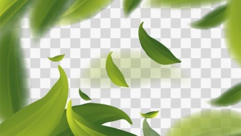 Freepik Vector 3D Illustration With Green Tea Leaves In Motion