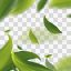 Freepik Vector 3D Illustration With Green Tea Leaves In Motion