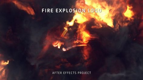 Preview Fire Explosion Logo 25581039