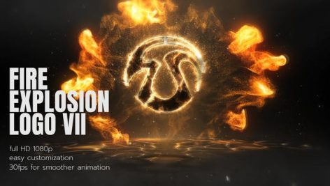 Preview Fire Explosion Logo 2 26661054