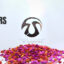 Preview Flowers Logo V3 27968204