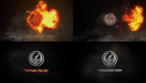 Preview Fire And Chrome Logo 26501667