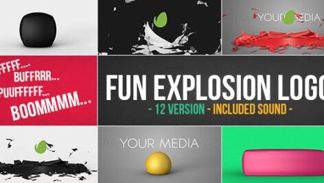 Preview Fun Explosion Logo 12778911