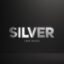 Preview Silver Logo Reveal 3 Versions 26714302