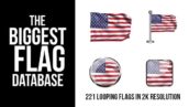 Preview 221 Looping World Flags 9255626
