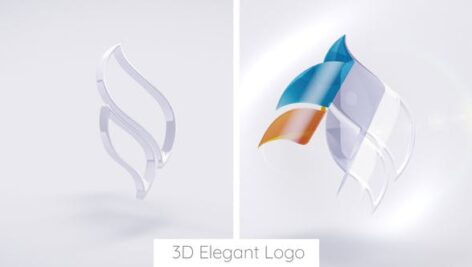 Preview 3D Elegant Logo 29918453